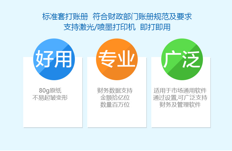 金蝶KZ-J102总分类明细账簿2.jpg